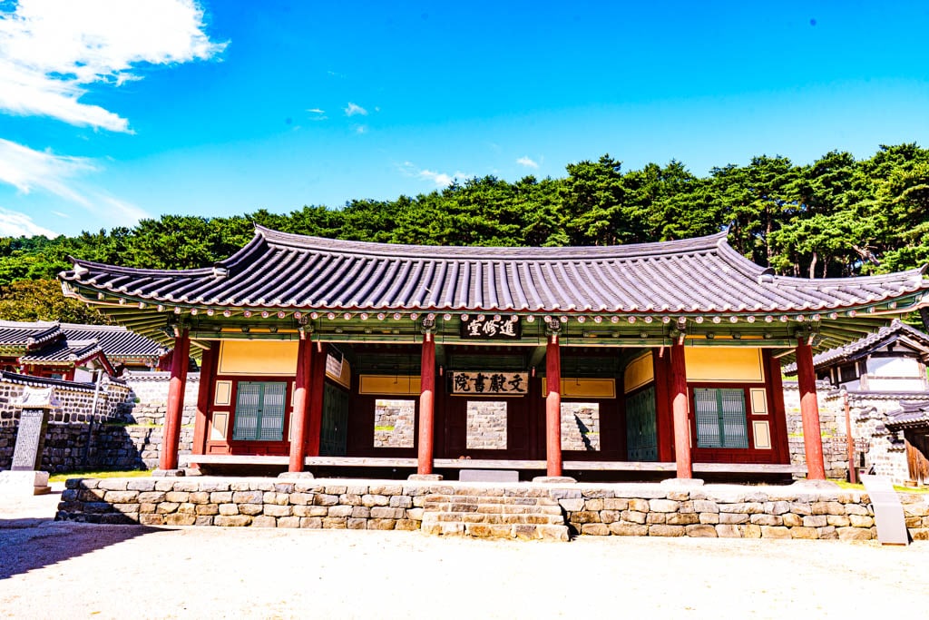 아직 꽃이 피지 않아 아쉬웠던 서천 문헌서원 배롱나무 방문기 35