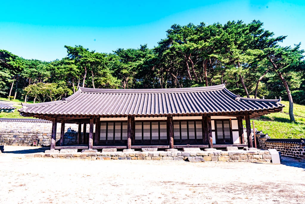 아직 꽃이 피지 않아 아쉬웠던 서천 문헌서원 배롱나무 방문기 30