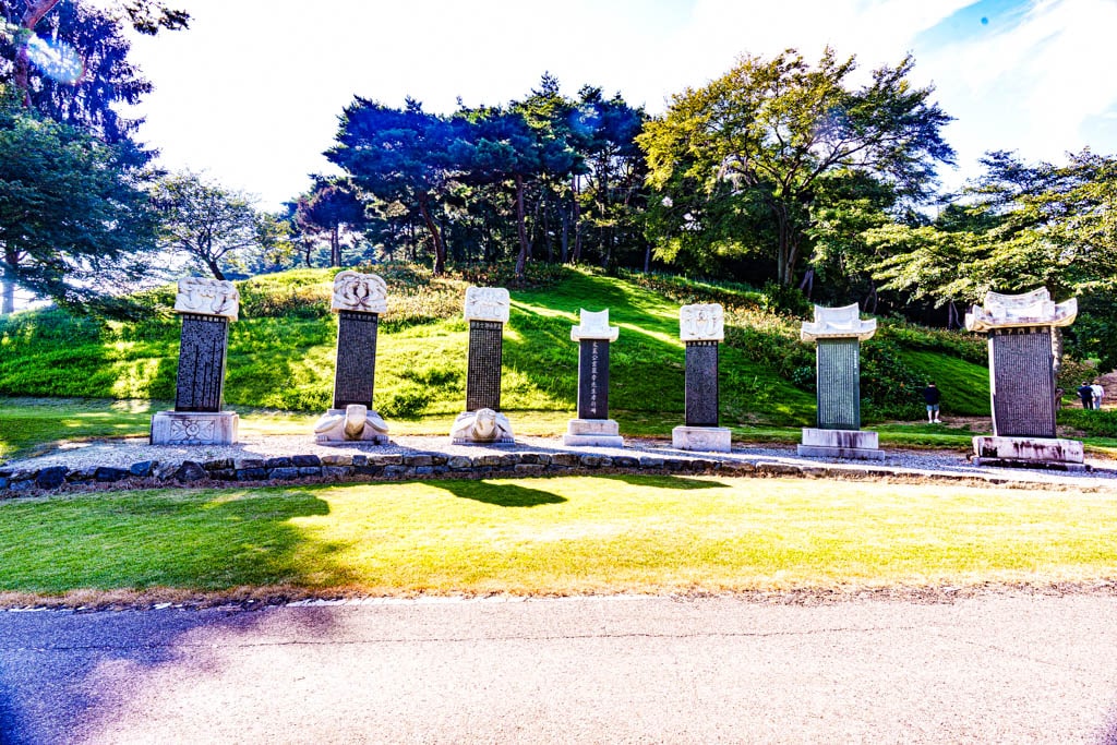 아직 꽃이 피지 않아 아쉬웠던 서천 문헌서원 배롱나무 방문기 26