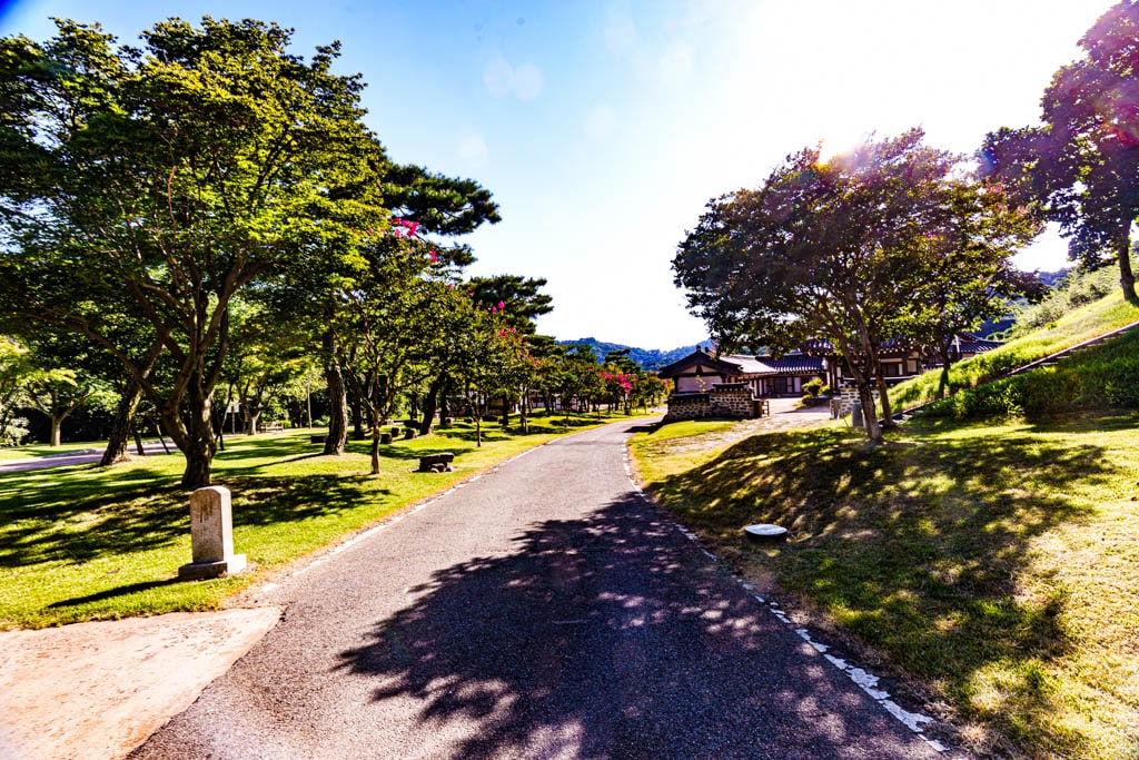 아직 꽃이 피지 않아 아쉬웠던 서천 문헌서원 배롱나무 방문기 21