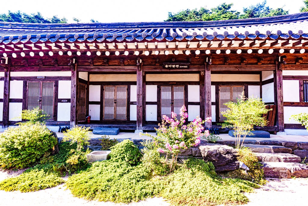 아직 꽃이 피지 않아 아쉬웠던 서천 문헌서원 배롱나무 방문기 23