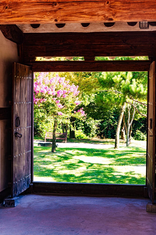 아직 꽃이 피지 않아 아쉬웠던 서천 문헌서원 배롱나무 방문기 24