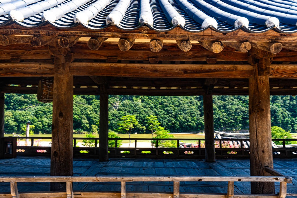 배롱나무 명소, 안동 병산서원 배롱나무 출사기 19 배롱나무 명소, 안동 병산서원 배롱나무 출사기 17