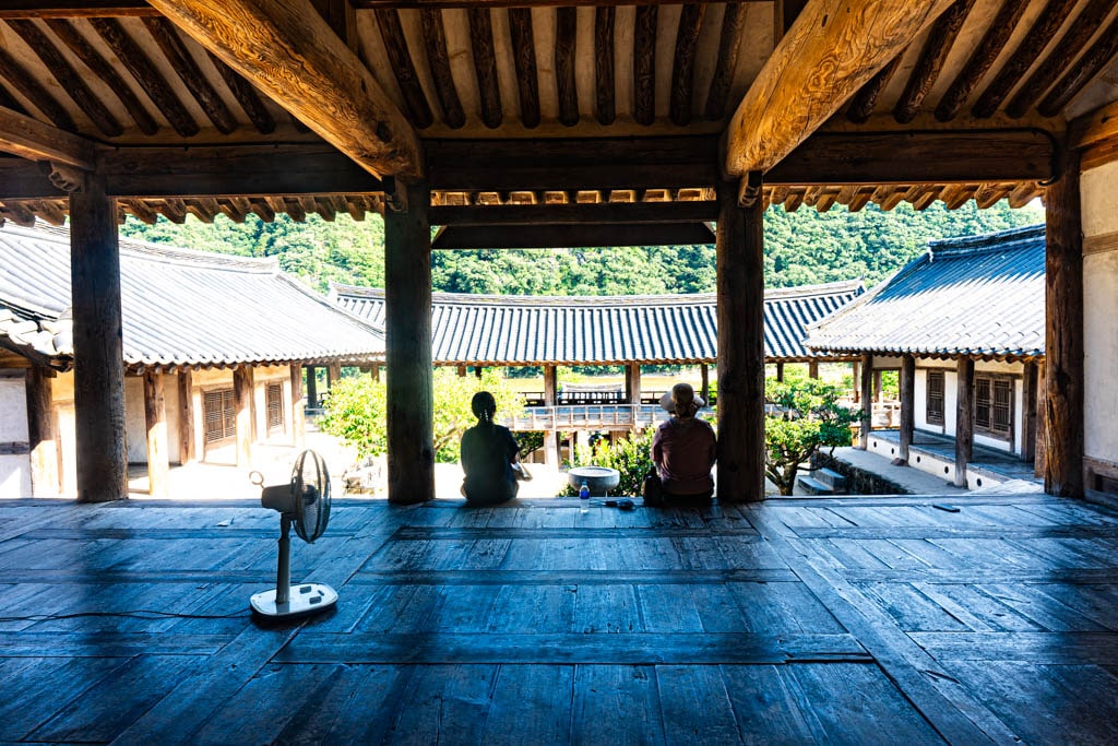 배롱나무 명소, 안동 병산서원 배롱나무 출사기 24 배롱나무 명소, 안동 병산서원 배롱나무 출사기 22