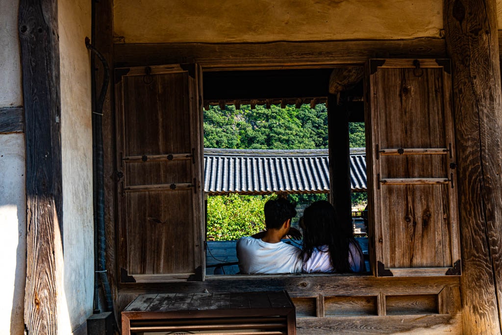 배롱나무 명소, 안동 병산서원 배롱나무 출사기 22 배롱나무 명소, 안동 병산서원 배롱나무 출사기 20