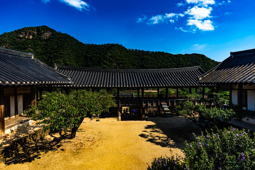 배롱나무 명소, 안동 병산서원 배롱나무 출사기 18 배롱나무 명소, 안동 병산서원 배롱나무 출사기 16