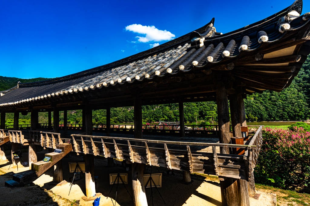 배롱나무 명소, 안동 병산서원 배롱나무 출사기 21 배롱나무 명소, 안동 병산서원 배롱나무 출사기 19