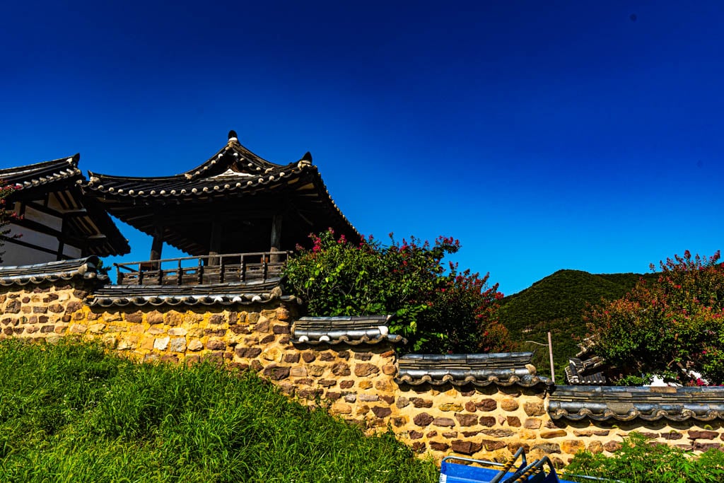 배롱나무 명소, 안동 병산서원 배롱나무 출사기 25 배롱나무 명소, 안동 병산서원 배롱나무 출사기 23