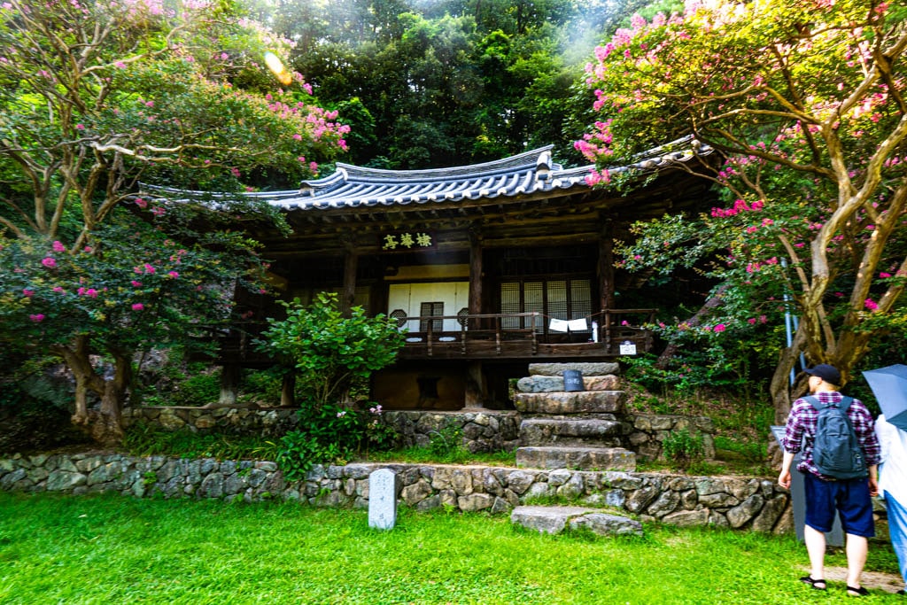 형제가 우애가 깃든 안동 체화정 배롱나무 출사 9 형제가 우애가 깃든 안동 체화정 배롱나무 출사 7