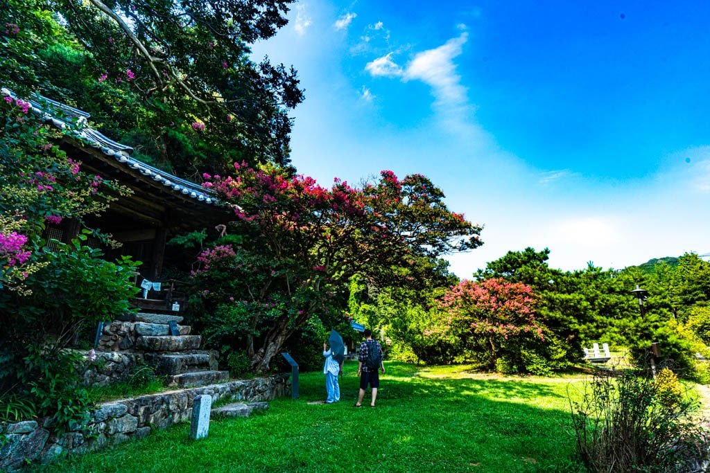 형제가 우애가 깃든 안동 체화정 배롱나무 출사 10 형제가 우애가 깃든 안동 체화정 배롱나무 출사 8