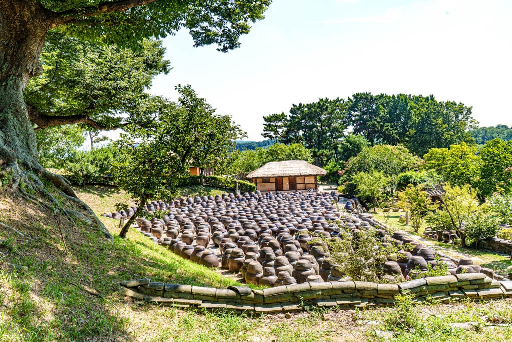 사계절 아름다운 논산 명재고택 배롱나무 풍광과 가을 풍광 소개 8