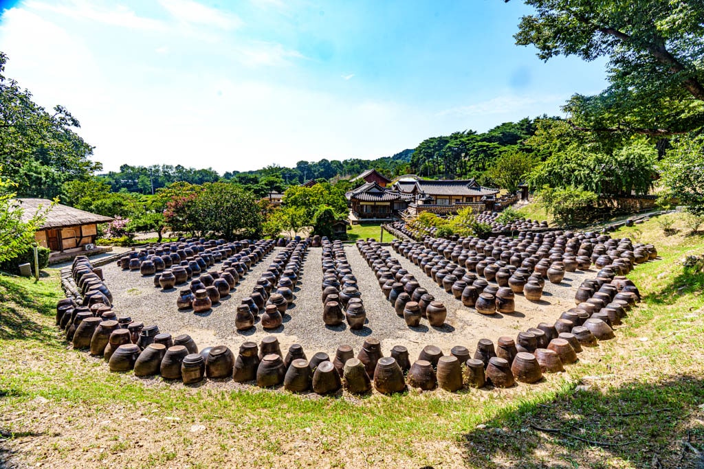 여름 명재고택 풍광,, 명대고택 장독대 DSC07940-, Photo by Happist