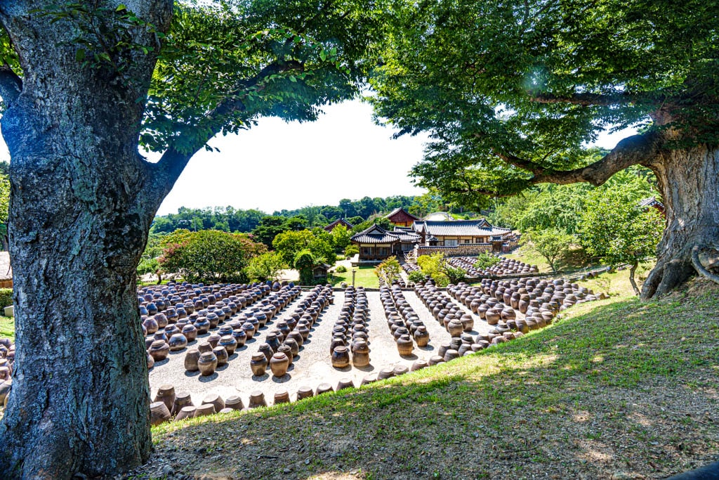 사계절 아름다운 논산 명재고택 배롱나무 풍광과 가을 풍광 소개 7