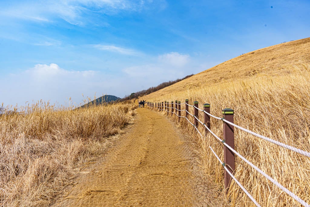 제주 여행의 여유를 만끽할 제주 새별오름 여행기 2