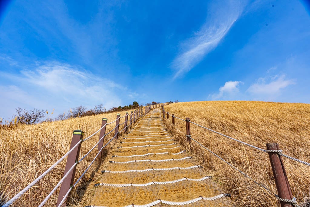 제주 여행의 여유를 만끽할 제주 새별오름 여행기 3