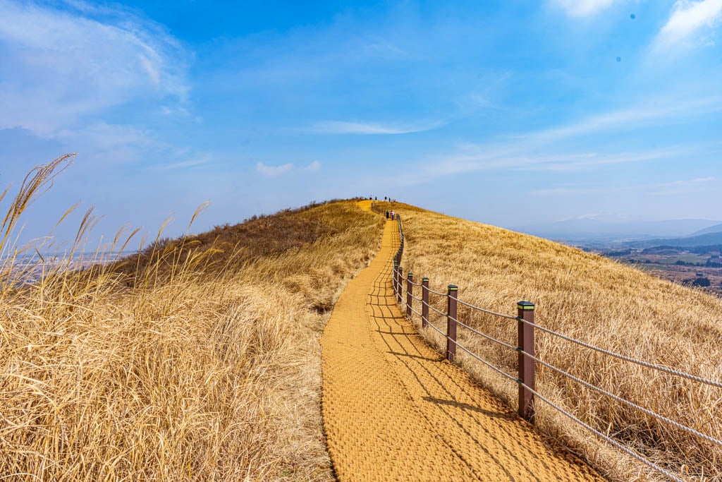 제주 새별오름 오르는 길, DSC02997-, Photo by Happist