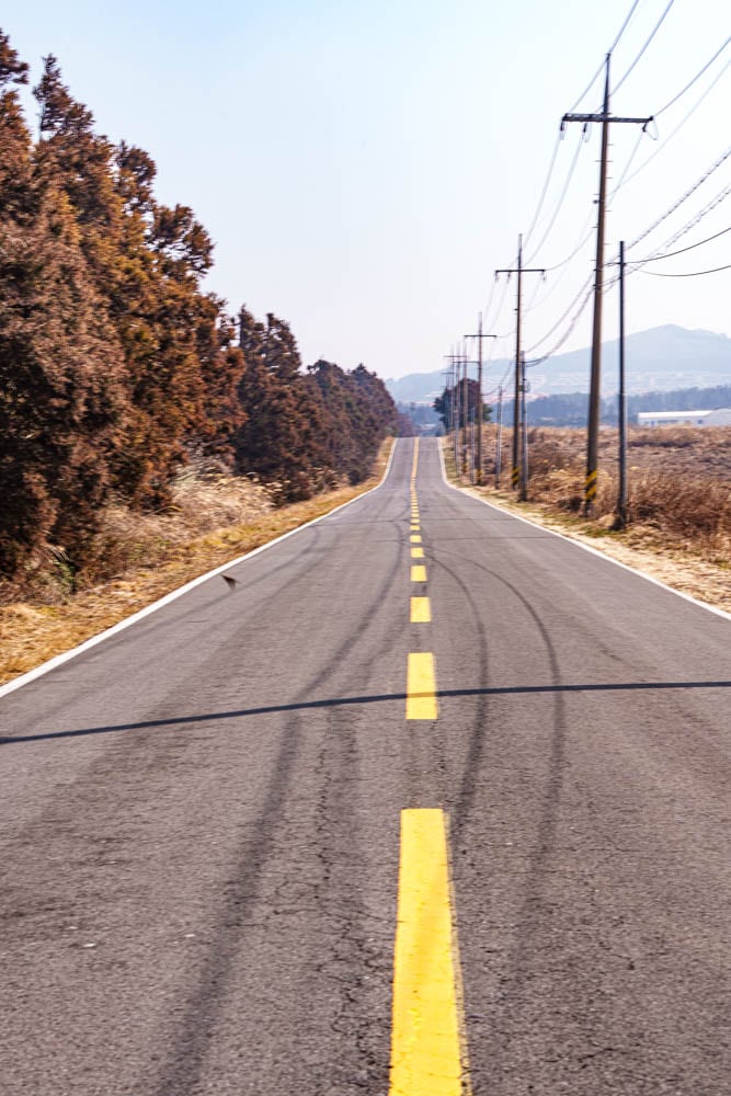 제주 여행의 여유를 만끽할 제주 새별오름 여행기 9