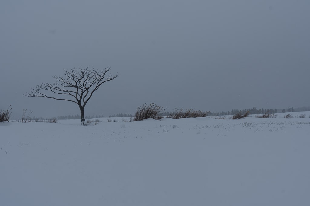 제주 여행의 여유를 만끽할 제주 새별오름 여행기 12