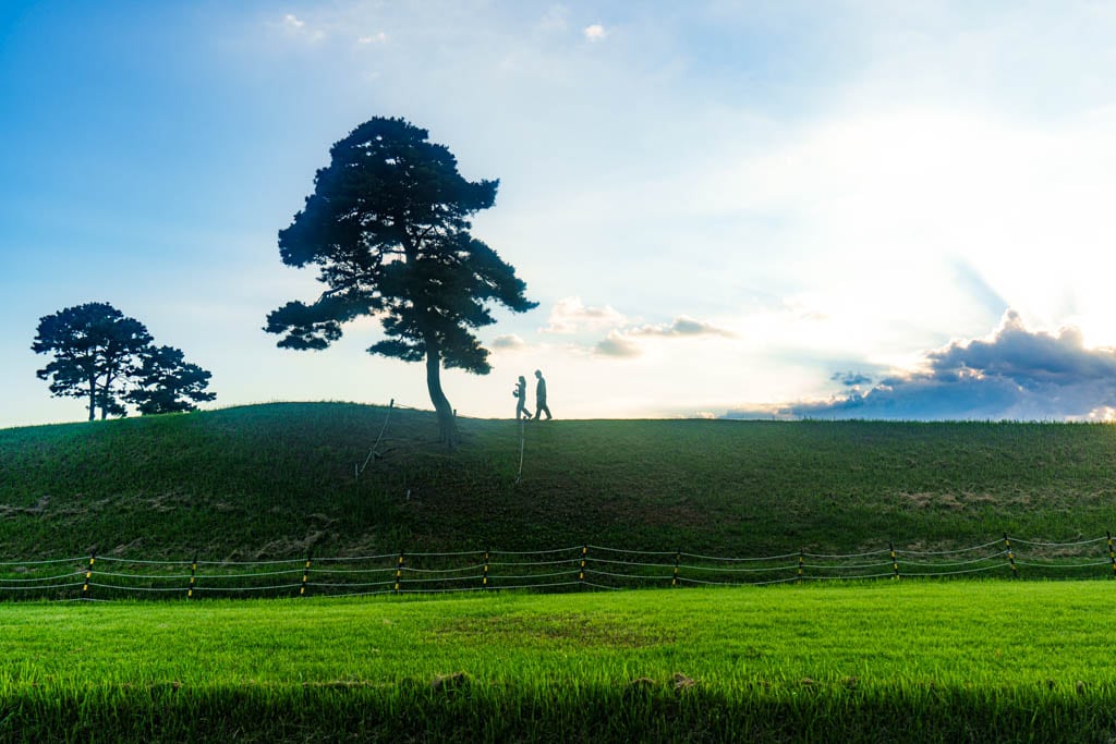 청주 정북동 토성 나홀로나무 출사기 43 청주 정북동 토성 나홀로나무 출사기 41