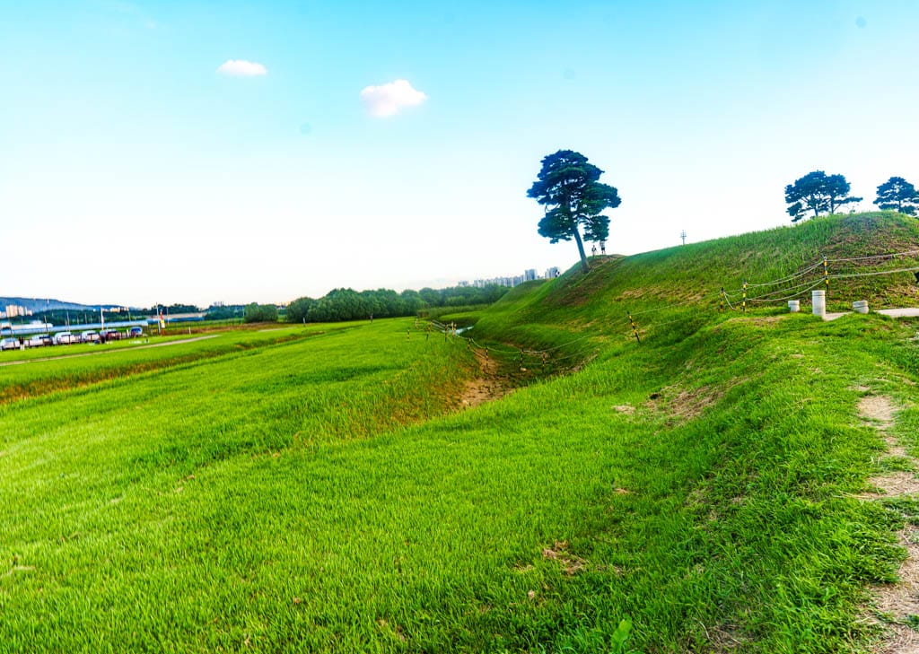 청주 정북동 토성 나홀로나무 출사기 45 청주 정북동 토성 나홀로나무 출사기 43