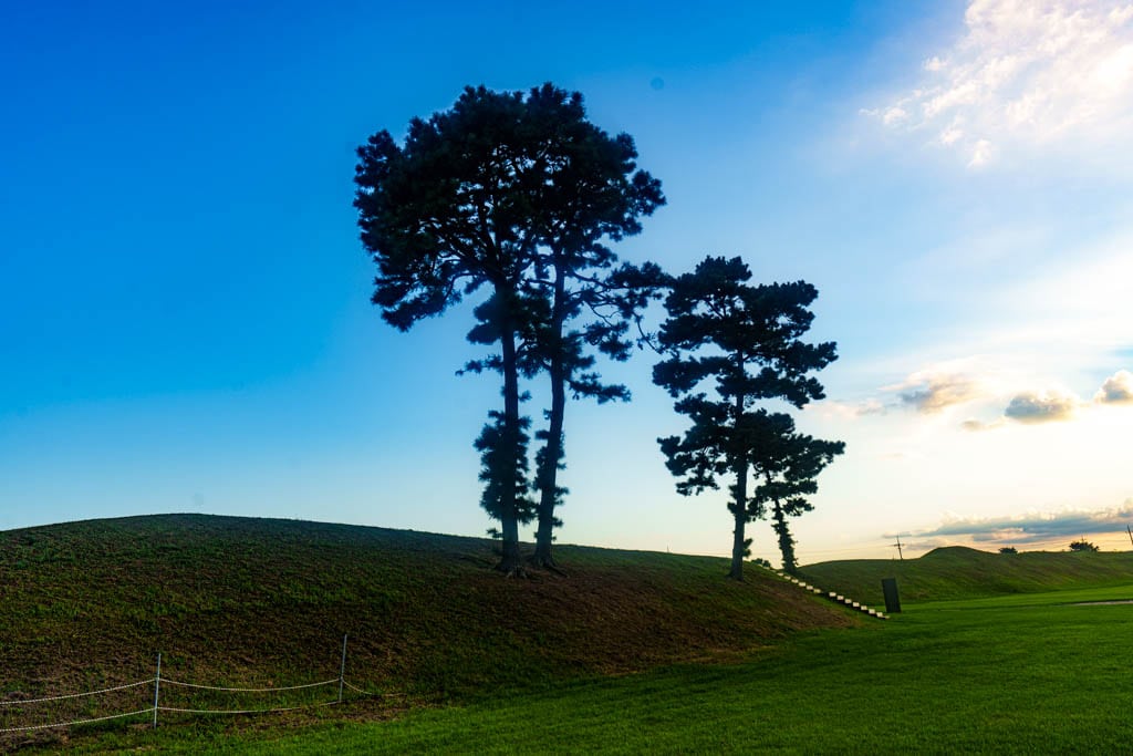 청주 정북동 토성 나홀로나무 출사기 47 청주 정북동 토성 나홀로나무 출사기 45