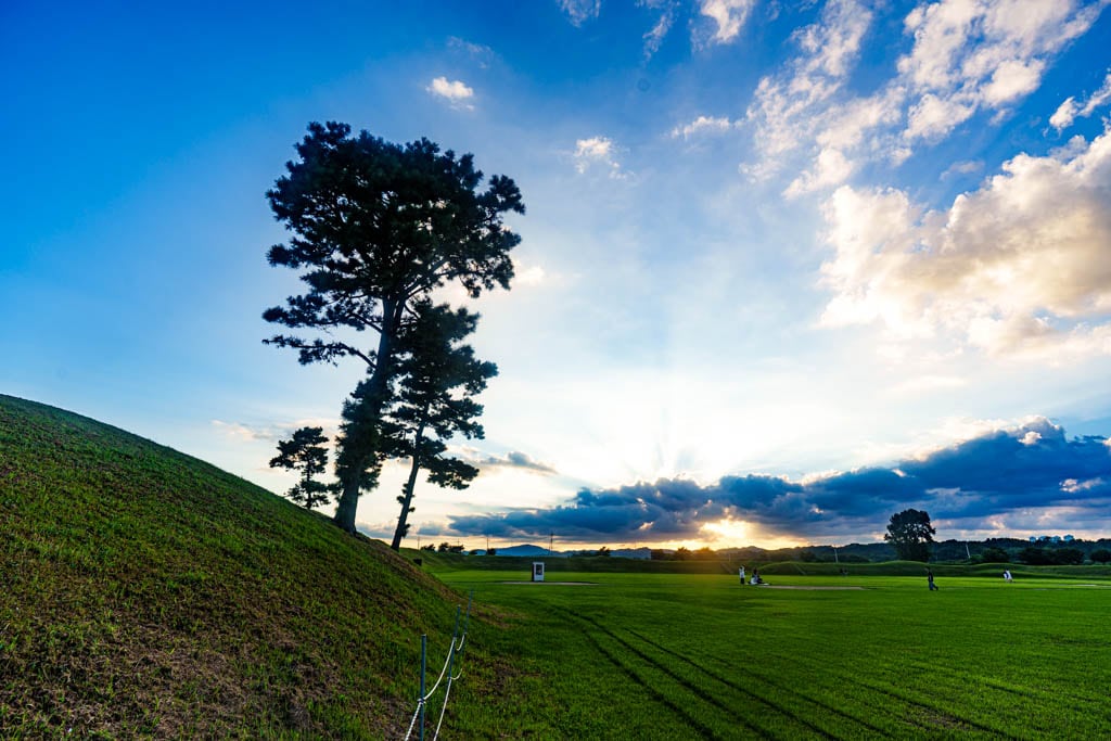 청주 정북동 토성 나홀로나무 출사기 48 청주 정북동 토성 나홀로나무 출사기 46