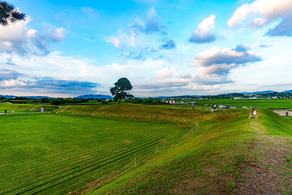 청주 정북동 토성 나홀로나무 출사기 49 청주 정북동 토성 나홀로나무 출사기 47