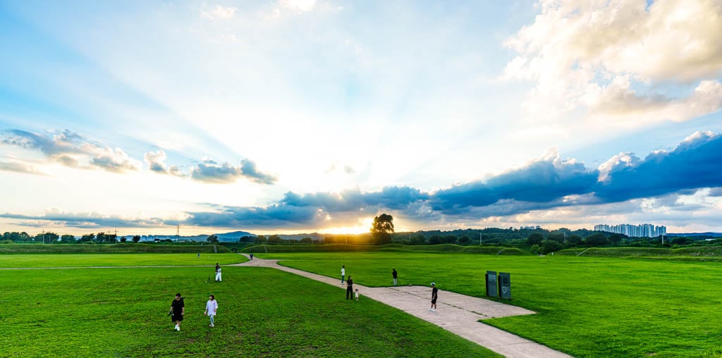 청주 정북동 토성 나홀로나무 출사기 50 청주 정북동 토성 나홀로나무 출사기 48
