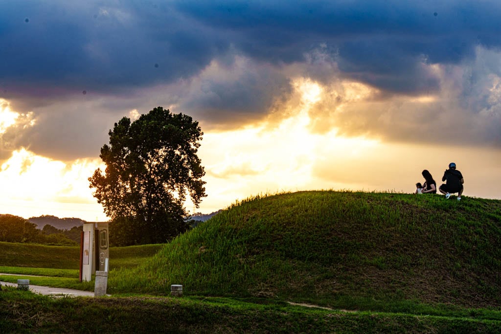 청주 정북동 토성 나홀로나무 출사기 44 청주 정북동 토성 나홀로나무 출사기 42