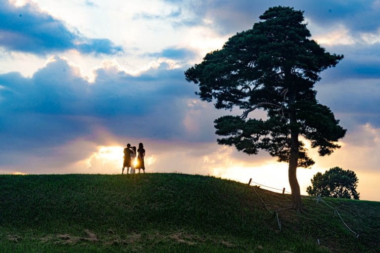 청주 정북동 토성 나홀로 나무 풍경, DSC08858-, Photo by Happist