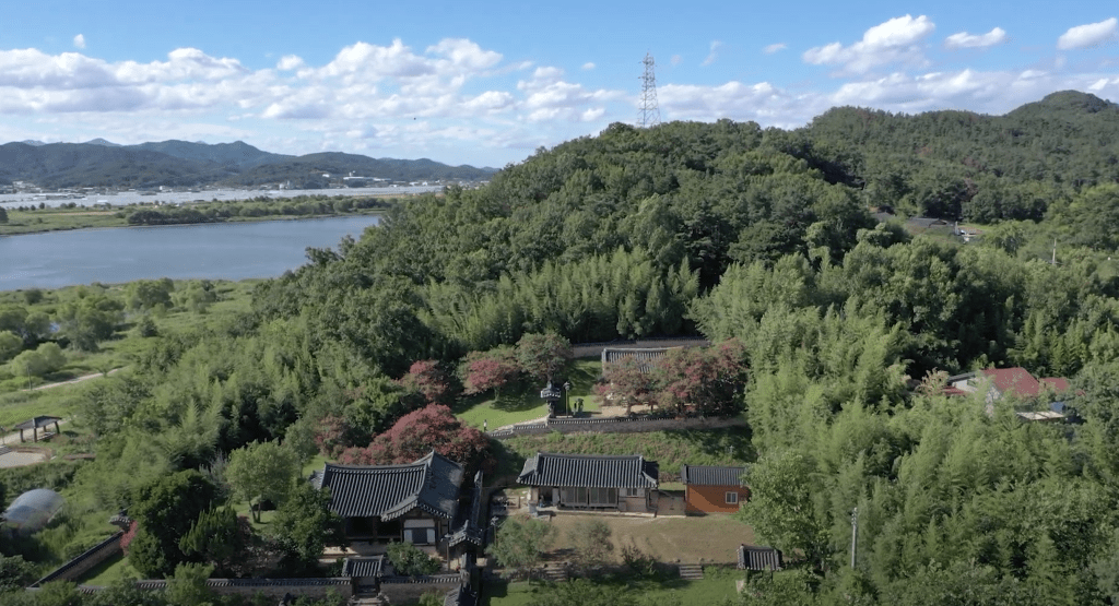 배롱나무 명소, 대구 하목정 배롱나무 풍경 소개 28 배롱나무 명소, 대구 하목정 배롱나무 풍경 소개 26