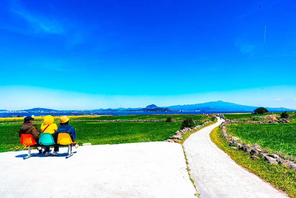 제주여행 가파도 유채꽃 풍경, _DSC3278-, Photo by Happist