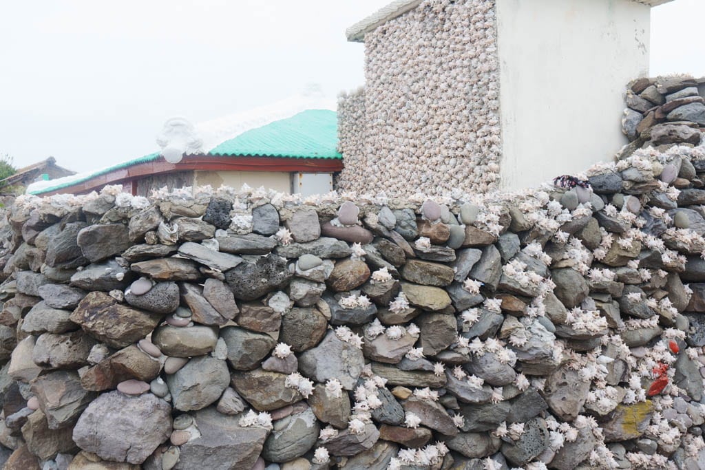 제주여행의 백미, 가파도 봄 풍경을 담다(가파도 청보리, 가파도 유채꽃) 92