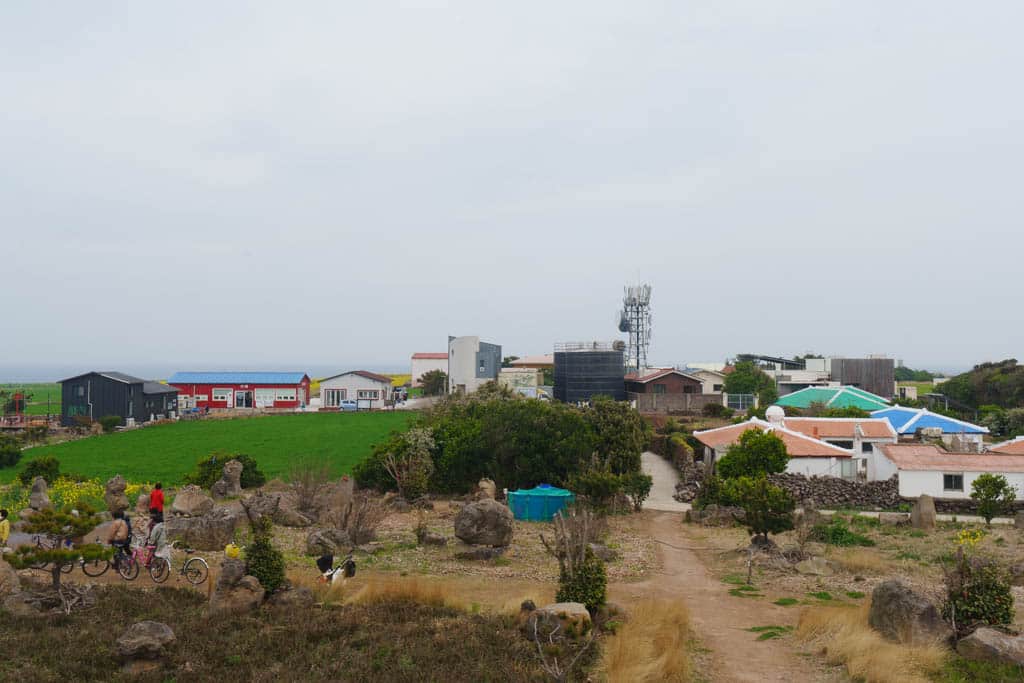 제주여행의 백미, 가파도 봄 풍경을 담다(가파도 청보리, 가파도 유채꽃) 89