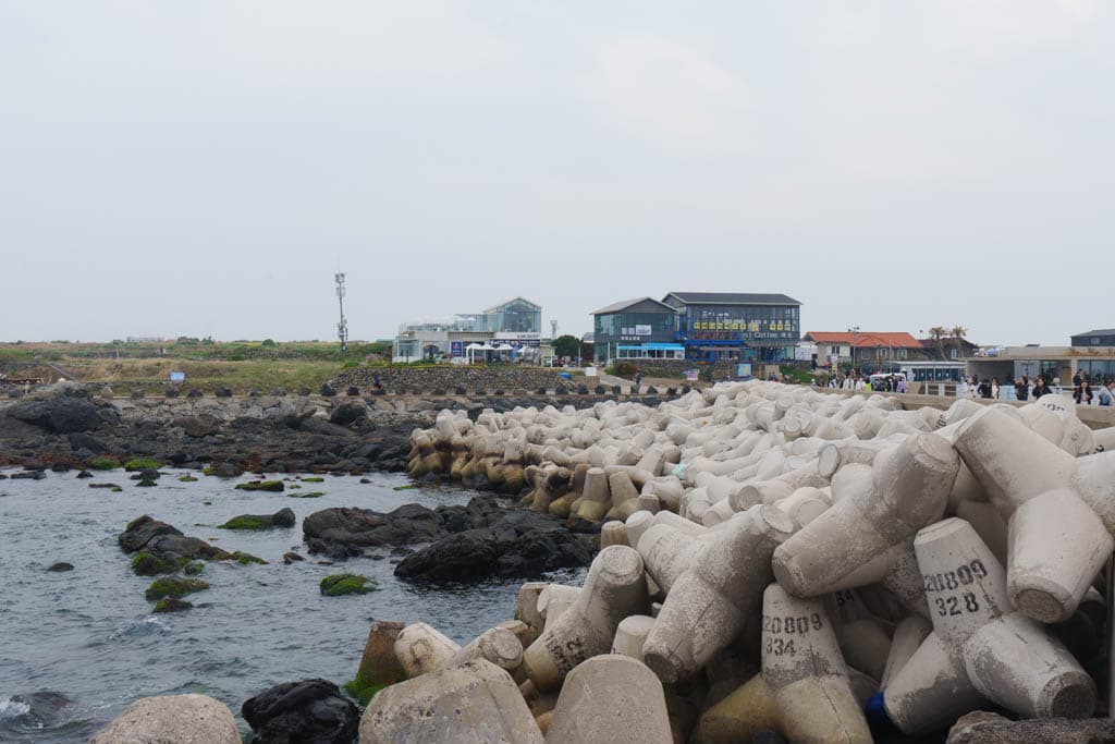 제주여행의 백미, 가파도 봄 풍경을 담다(가파도 청보리, 가파도 유채꽃) 94