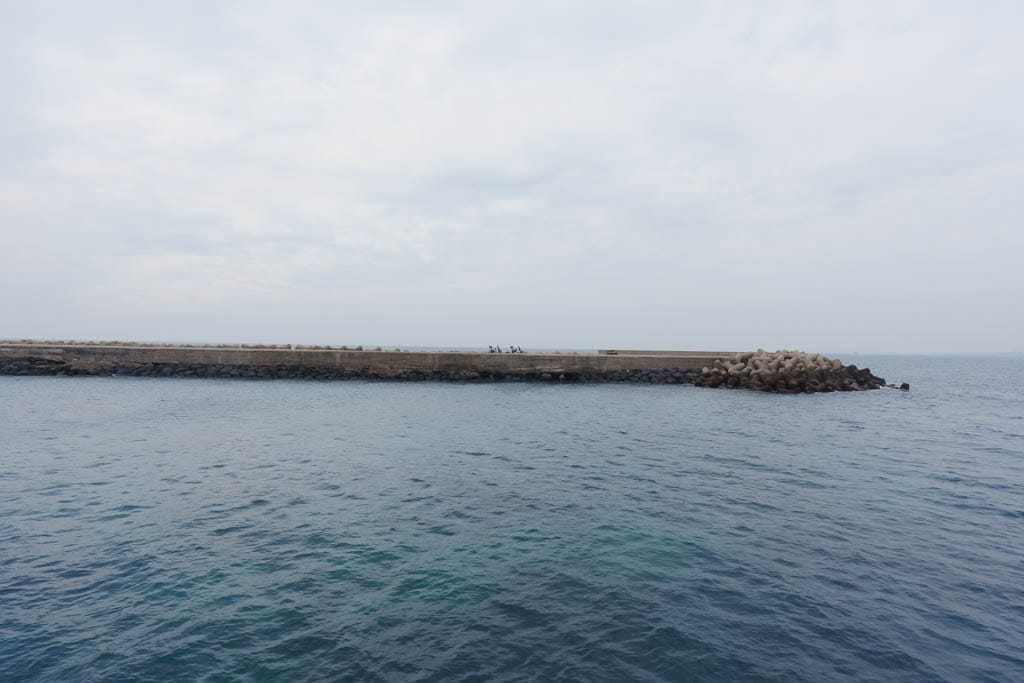 제주여행의 백미, 가파도 봄 풍경을 담다(가파도 청보리, 가파도 유채꽃) 95