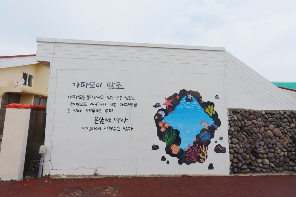 제주여행의 백미, 가파도 봄 풍경을 담다(가파도 청보리, 가파도 유채꽃) 81