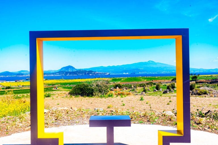 제주여행 가파도 유채꽃 풍경, _DSC3334-, Photo by Happist