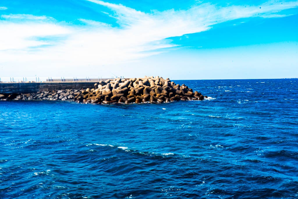 제주여행의 백미, 가파도 봄 풍경을 담다(가파도 청보리, 가파도 유채꽃) 96