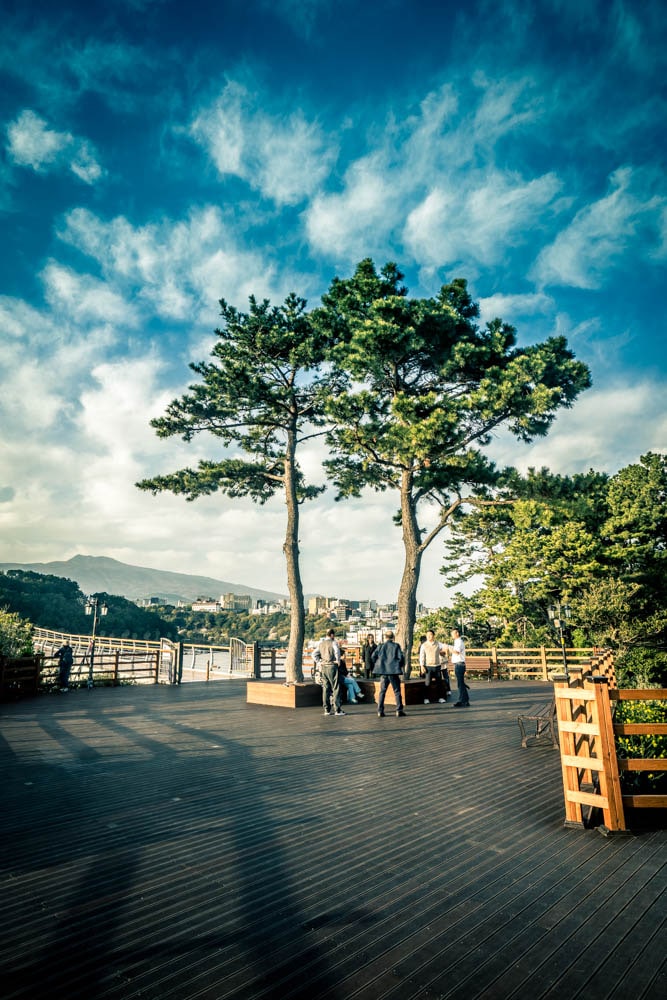 야경과 석양이 멋진 곳 제주 새연교 풍경을 담다 34