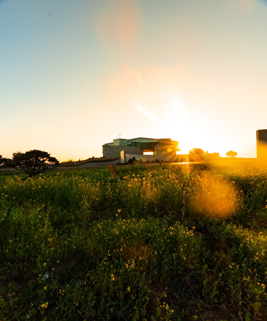 제주여행, 가장 완벽했던 섭지코지 산책코스 풍경 7 제주여행, 가장 완벽했던 섭지코지 산책코스 풍경 7