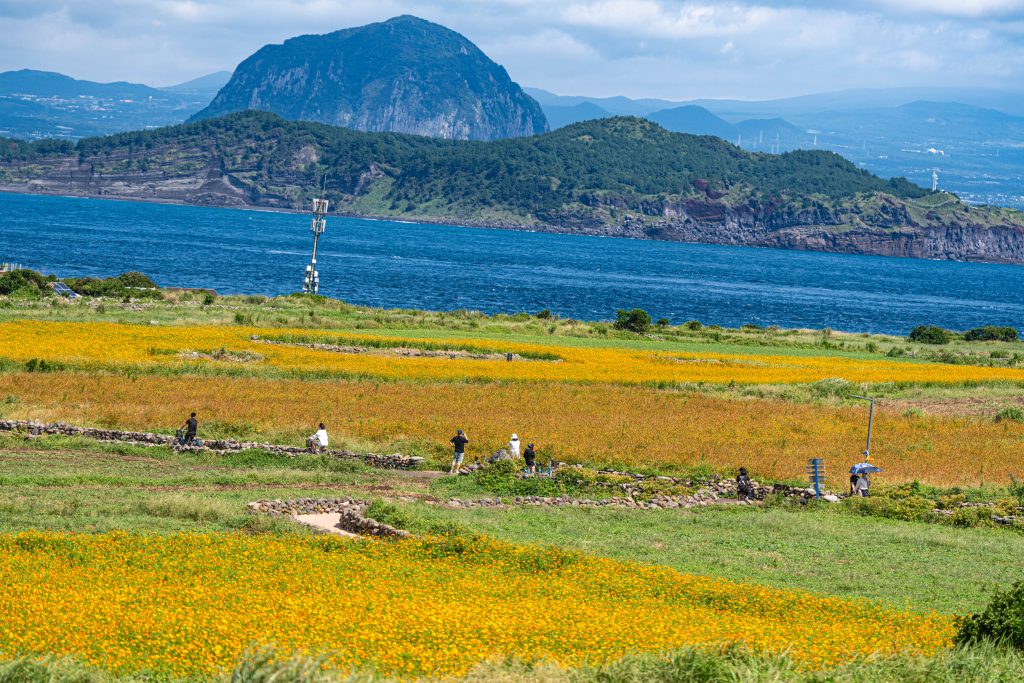 제주여행, 가을 가파도 여행, 봄만큼 아름다운 섬 4 제주여행, 가을 가파도 여행, 봄만큼 아름다운 섬 3