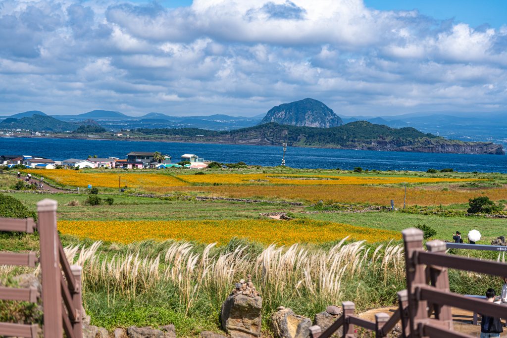 제주여행, 가을 가파도 여행, 봄만큼 아름다운 섬 8 제주여행, 가을 가파도 여행, 봄만큼 아름다운 섬 7