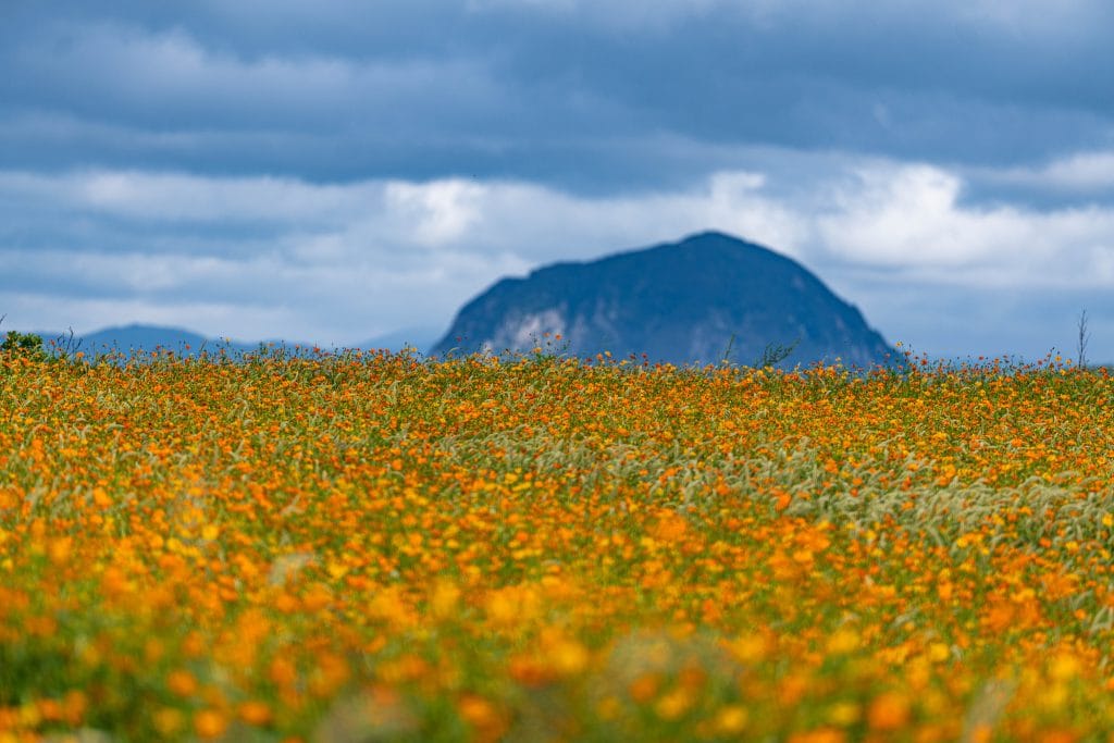 제주여행, 가을 가파도 여행, 봄만큼 아름다운 섬 3 제주여행, 가을 가파도 여행, 봄만큼 아름다운 섬 2