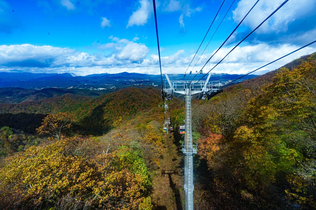 가을이 지고 있던 발왕산 천년주목숲길과 발왕산 스카이워크 방문기 19
