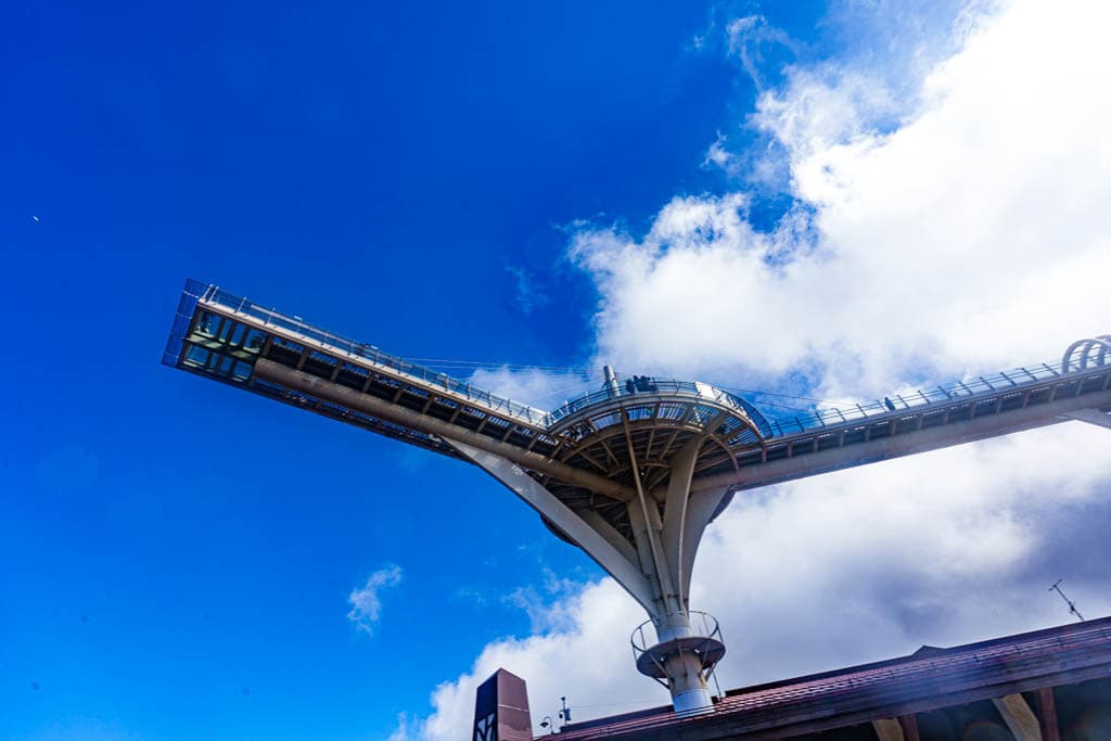 가을이 지고 있던 발왕산 천년주목숲길과 발왕산 스카이워크 방문기 24