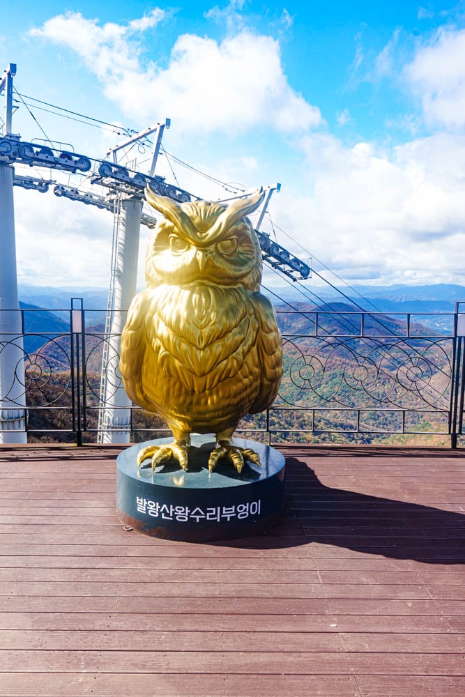 가을이 지고 있던 발왕산 천년주목숲길과 발왕산 스카이워크 방문기 35