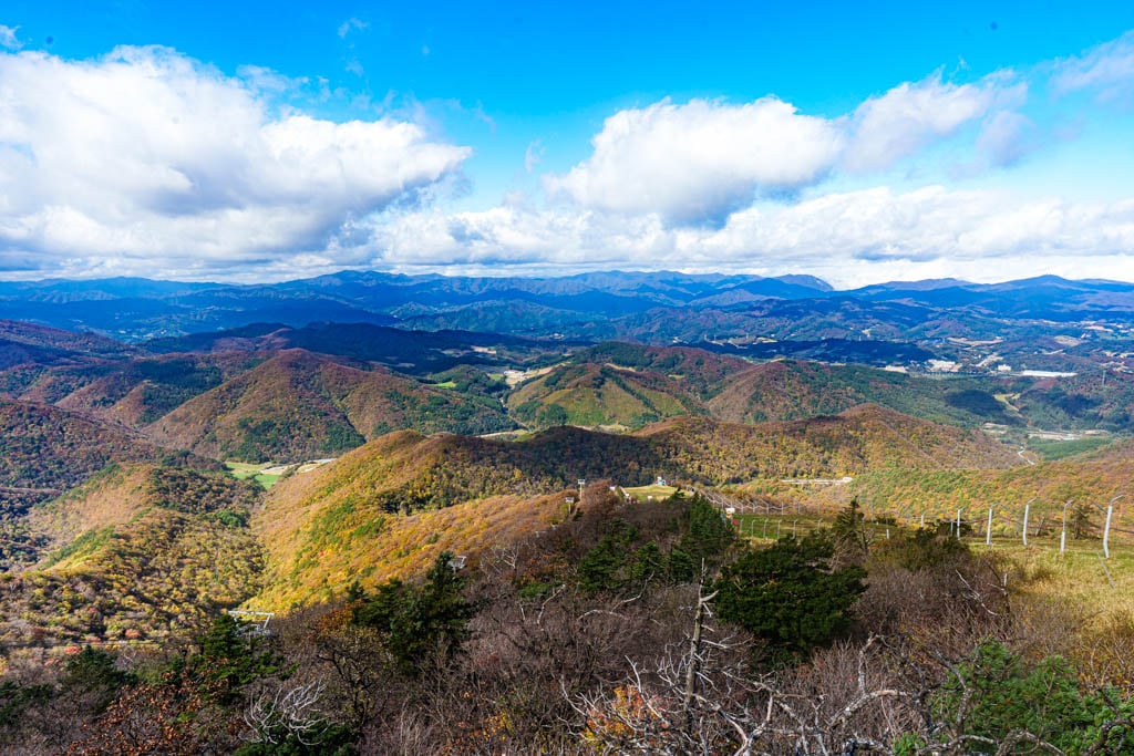가을이 지고 있던 발왕산 천년주목숲길과 발왕산 스카이워크 방문기 33