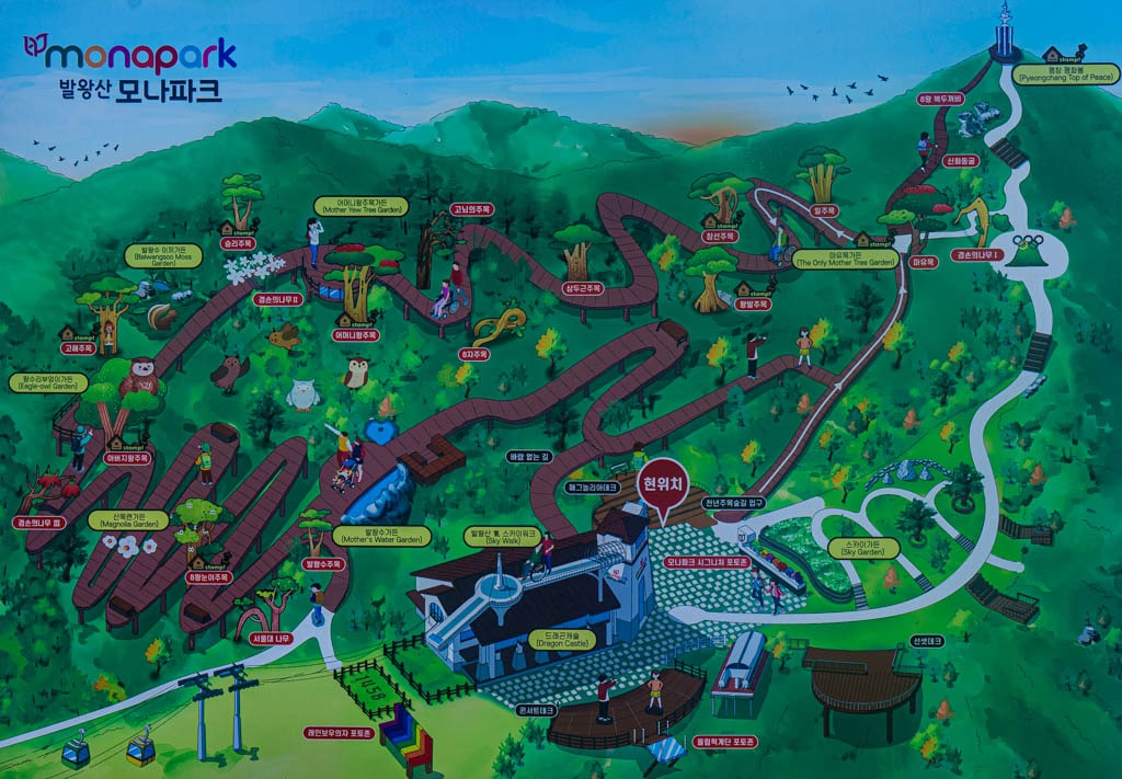 가을이 지고 있던 발왕산 천년주목숲길과 발왕산 스카이워크 방문기 21