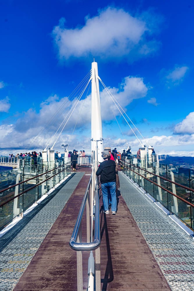 가을이 지고 있던 발왕산 천년주목숲길과 발왕산 스카이워크 방문기 25